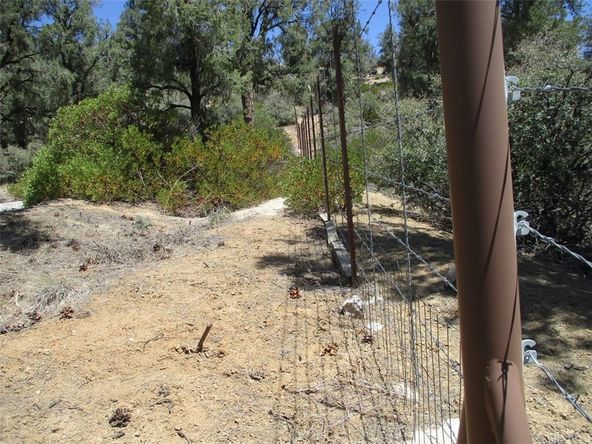 E. Green Trail: E. Green Trail, Frazier Park, CA 93225